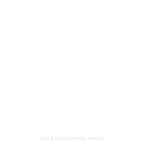 Woodles